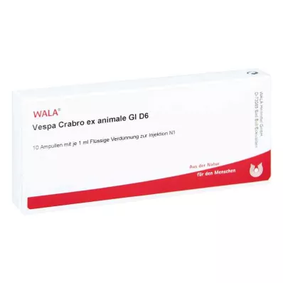 Vespa Crabro Ex Animale Gl D6 ampuller (10x1 ml) Vespa Crabro Ex Animale Gl D6 ampuller (10x1 ml)