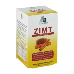 ZIMT KAPSELN 500 mg+Vitamin C+E, 120 st