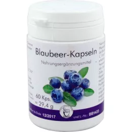 BLAUBEER Kapslar, 60 st