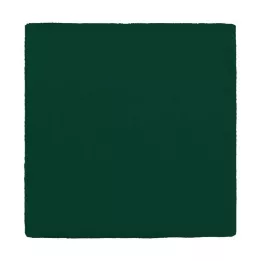 MULLKOMPRESSEN 10x10 cm 12x grön, 100 st