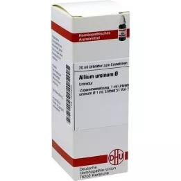 ALLIUM URSINUM modertinktur, 20 ml