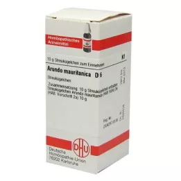 ARUNDO mauritanica D 6 kulor, 10 g