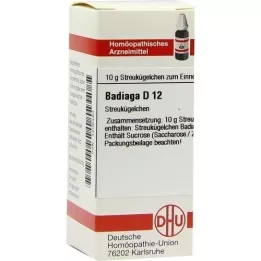 BADIAGA D 12 kulor, 10 g