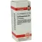 CARDIOSPERMUM D 6 kulor, 10 g