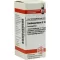 CARDIOSPERMUM D 12 kulor, 10 g