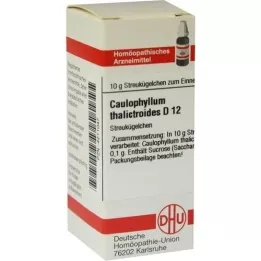 CAULOPHYLLUM THALICTROIDES D 12 kulor, 10 g