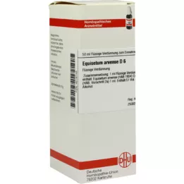 EQUISETUM ARVENSE D 6 Utspädning, 50 ml