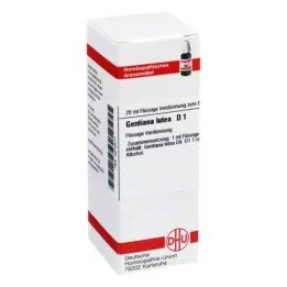 GENTIANA LUTEA D 1 Utspädning, 20 ml