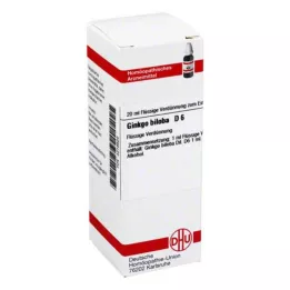 GINKGO BILOBA D 6 Utspädning, 20 ml