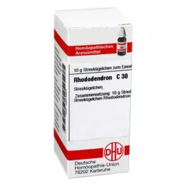 RHODODENDRON C 30 globuli, 10 g