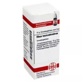 RHUS TOXICODENDRON C 1000 globuli, 10 g