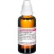 SERUM ANGUILLAE D 12 Utspädning, 50 ml