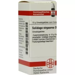 SOLIDAGO VIRGAUREA D 12 kulor, 10 g