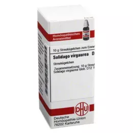 SOLIDAGO VIRGAUREA D 12 kulor, 10 g