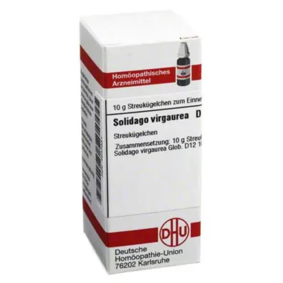 SOLIDAGO VIRGAUREA D 12 kulor, 10 g