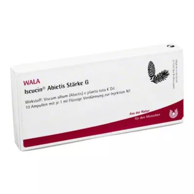 ISCUCIN abietis Stärkelse G Ampuller, 10X1 ml
