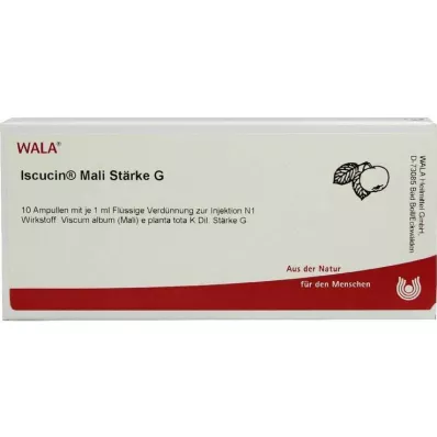 ISCUCIN mali Stärkelse G Ampuller, 10X1 ml