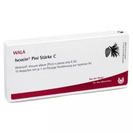 ISCUCIN pini Stärkelse C Ampuller, 10X1 ml