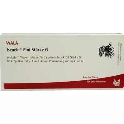 ISCUCIN pini Stärkelse G Ampuller, 10X1 ml