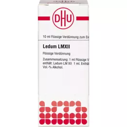 LEDUM LM XII Spädning, 10 ml