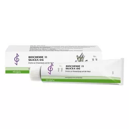 BIOCHEMIE 11 Silicea D 6 Kräm, 100 ml