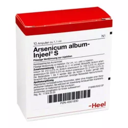 ARSENICUM ALBUM INJEEL S Ampuller, 10 st