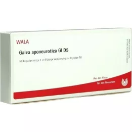 GALEA aponeurotica GL D 5 ampuller, 10X1 ml