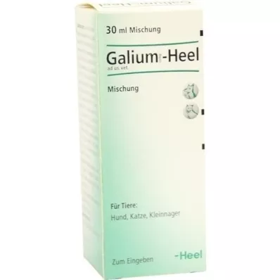 GALIUM COMP.-Heel ad us.vet.droppar, 30 ml
