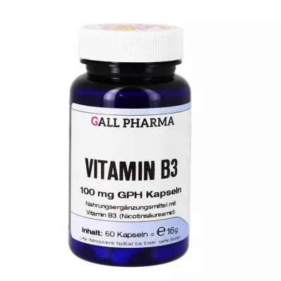 VITAMIN B3 100 mg GPH Kapslar, 60 st