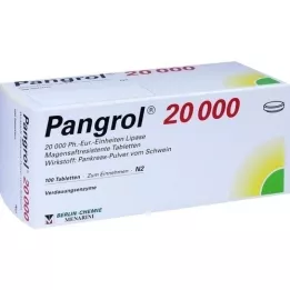 PANGROL 20 000 enterotabletter, 100 st