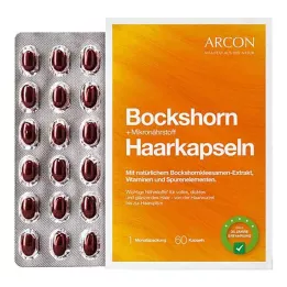 BOCKSHORN+mikronäringsämnen hårkapslar Tisane plus, 60 st
