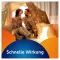 VOLTAREN Dolo Liquid 25 mg mjuka kapslar, 20 st
