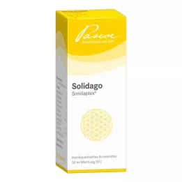 SOLIDAGO SIMILIAPLEX Droppar, 50 ml