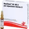 NEYCHON Nr.68 A pro injectione Styrka 2 ampuller, 5X2 ml