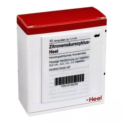 ZITRONENSÄUREZYKLUS Hälampuller, 10 st