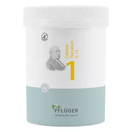 BIOCHEMIE Ploughmans gips 1 Calcium fluoratum D 12 tbl, 1000 st