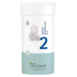 BIOCHEMIE Plogmans gips 2 Kalciumfosforicum D 6 tbl, 400 st
