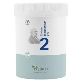 BIOCHEMIE Plogmans gips 2 Kalciumfosforicum D 6 tbl, 1000 st