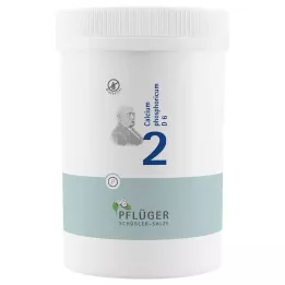 BIOCHEMIE Plogmans gips 2 Kalciumfosforicum D 6 tbl, 4000 st