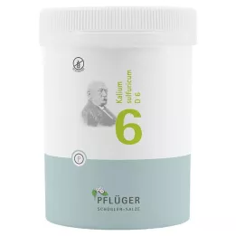BIOCHEMIE Plogmans gips 6 Kalium sulphuricum D 6 tbl, 1000 st