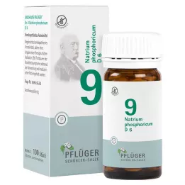 BIOCHEMIE Plogmans gips 9 Natrium phosphoricum D 6 tbl, 100 st