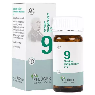 BIOCHEMIE Plogmans gips 9 Natrium phosphoricum D 6 tbl, 100 st