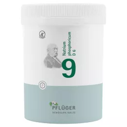 BIOCHEMIE Ploughmans gips 9 Natrium phosphoricum D 6 tbl, 1000 st