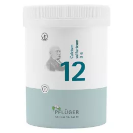BIOCHEMIE Ploughmans gips 12 Calcium sulfuricum D 6 tbl, 1000 st