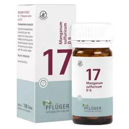 BIOCHEMIE Ploughmans gips 17 Manganum sulphuricum D 6 tbl, 100 st