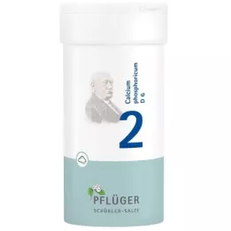 BIOCHEMIE Plogmans gips 2 Kalciumfosforicum D 6 Pulver, 100 g