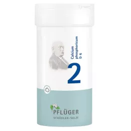 BIOCHEMIE Plogmans gips 2 Kalciumfosforicum D 6 Pulver, 100 g