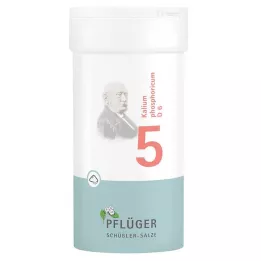 BIOCHEMIE Plogmans gips 5 Kalium phosphoricum D 6 Pulver, 100 g