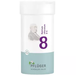 BIOCHEMIE Plogmans gips 8 Natrium chloratum D 6 Pulver, 100 g