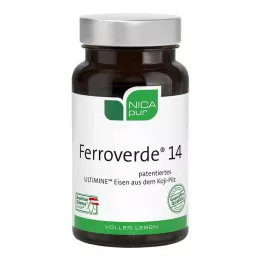 NICAPUR Ferroverde 14 kapslar, 60 st